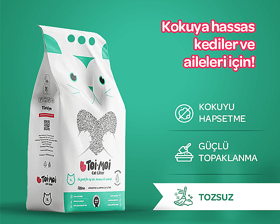 Toi Moi Kokusuz Kedi Kumu